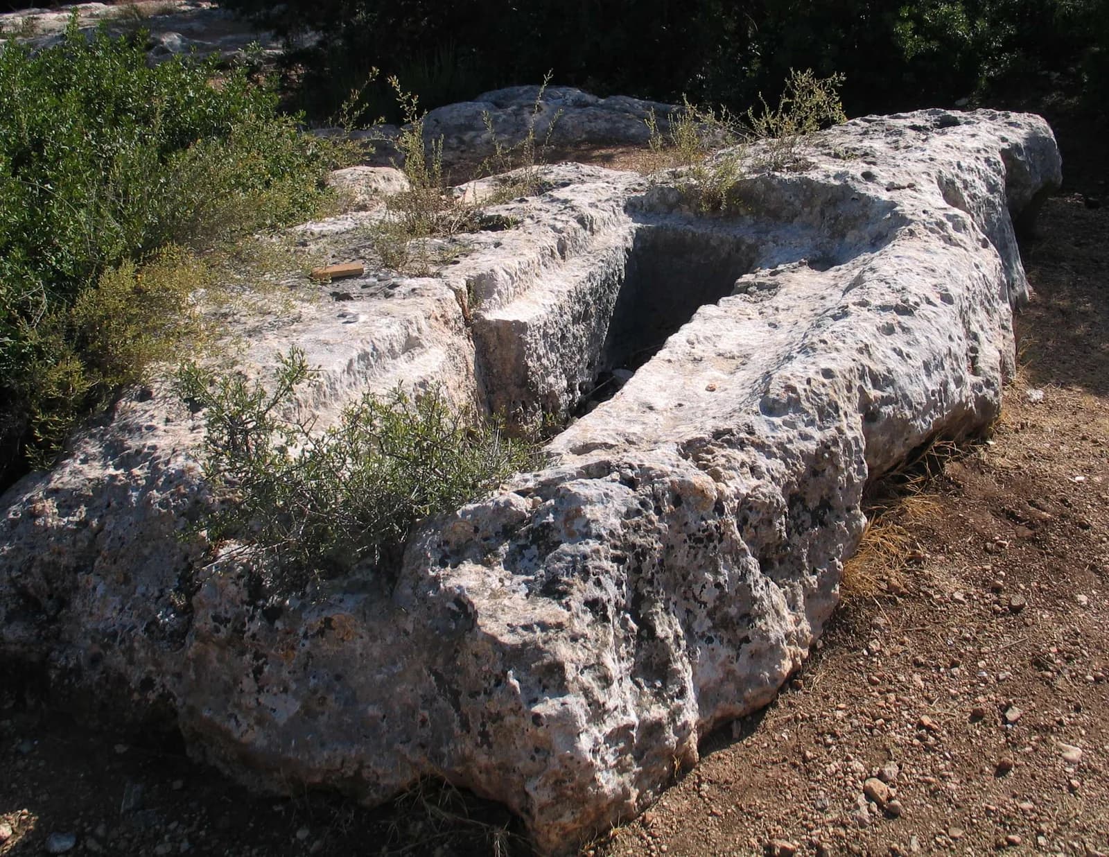 קבר פיר מוארך חצוב בסלע הגיר