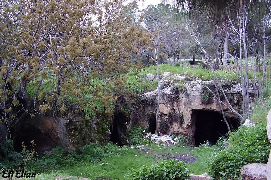 פתחי המערות החצובות של מערת האריה סמוך לבית הקברות ממילא
