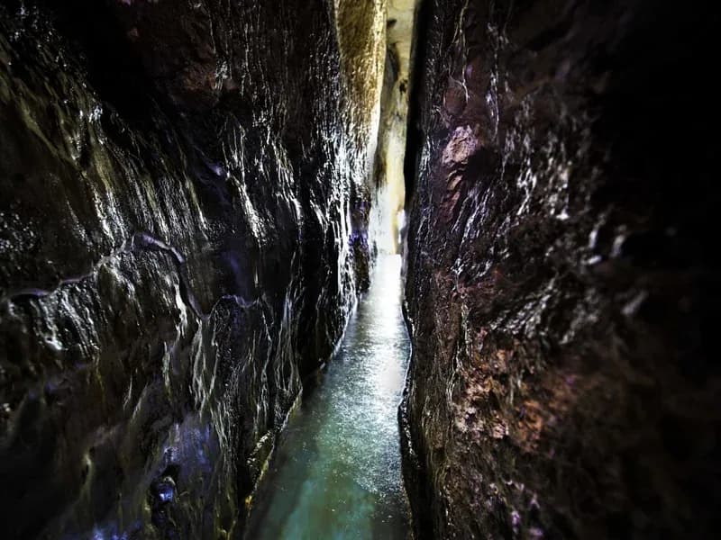 נקבת השילוח