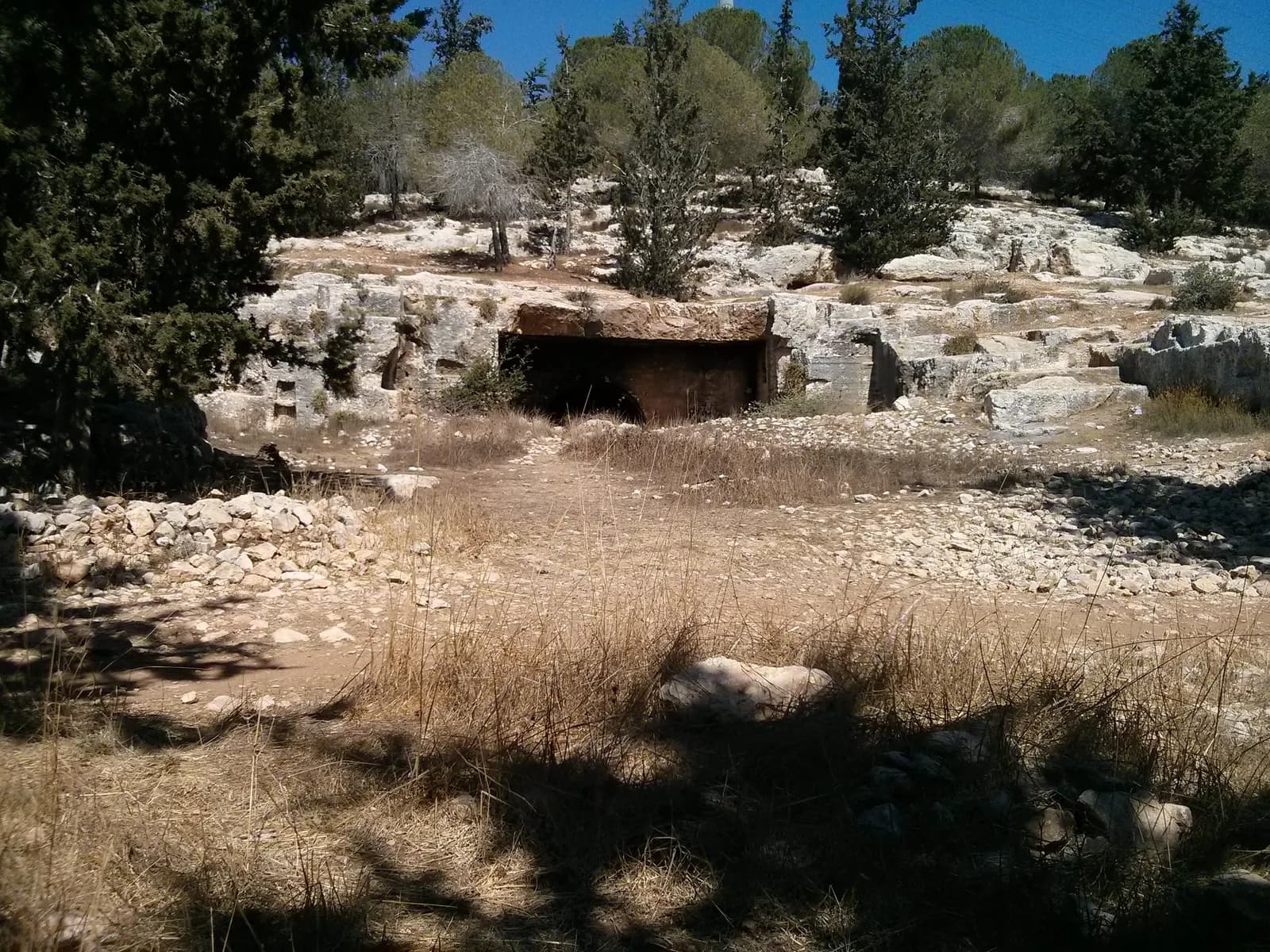 המערה והחצר החצובה שלפניה, בין עצי היער במדרון נחל צופים