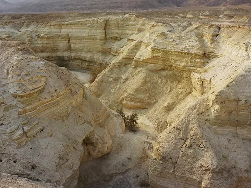 מערת הקמח מדבר יהודה