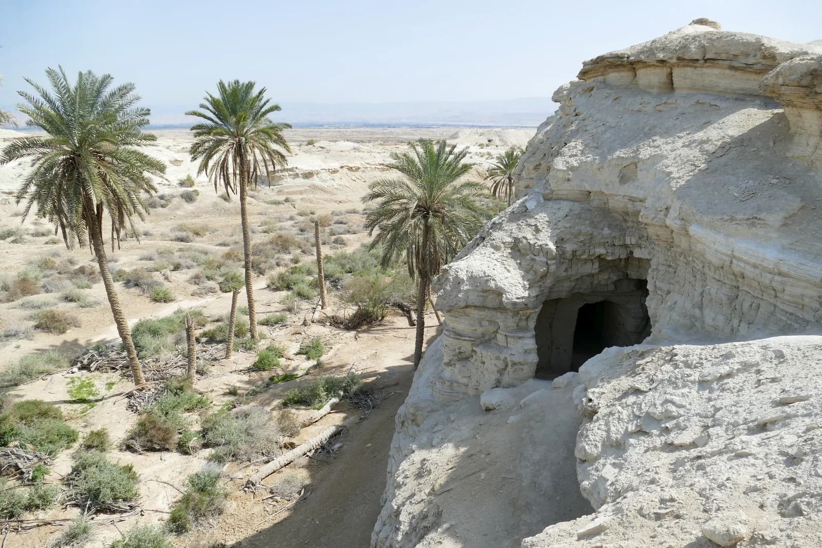 פתח תא נזיר חצוב בחוואר מעל ואדי נח'יל, ומולו דקלים ומישור הירדן