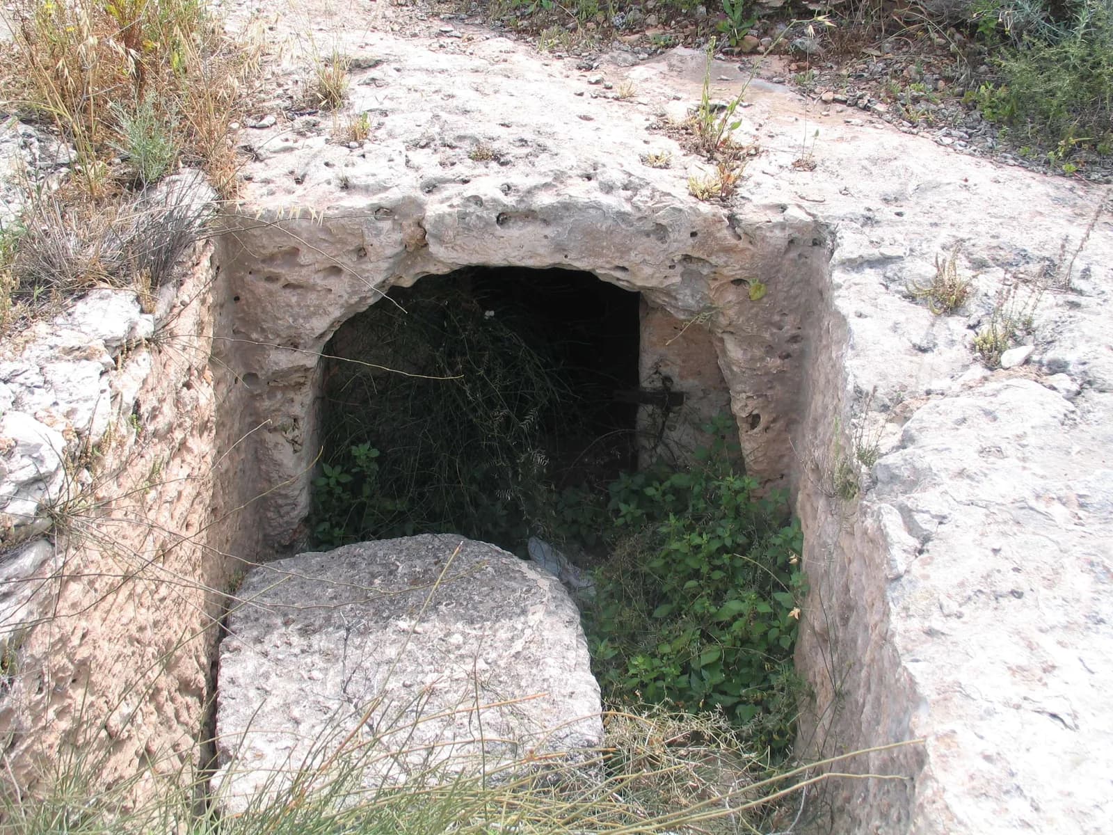 פתח מלבני של מערכת קבורה חצובה, ולפניו אבן סגירה