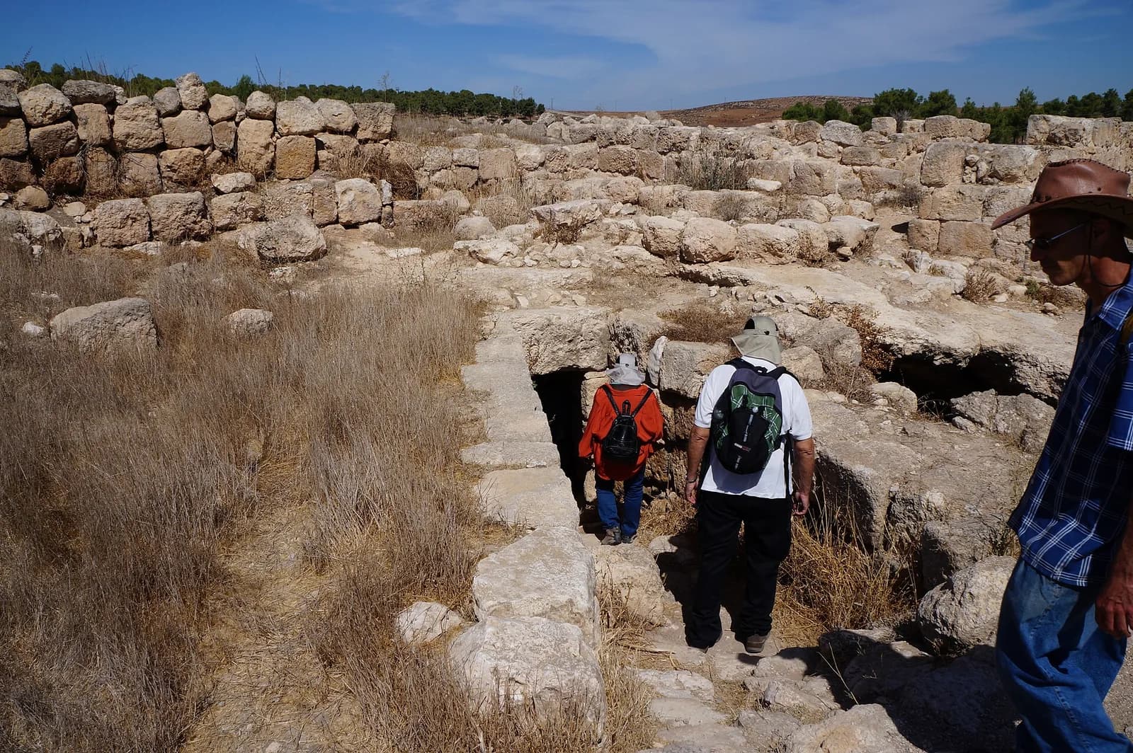 מטיילים יורדים במדרגות חצובות אל מערת מגורים בחורבת ענים, ומאחור שרידי הכפר ויער יתיר