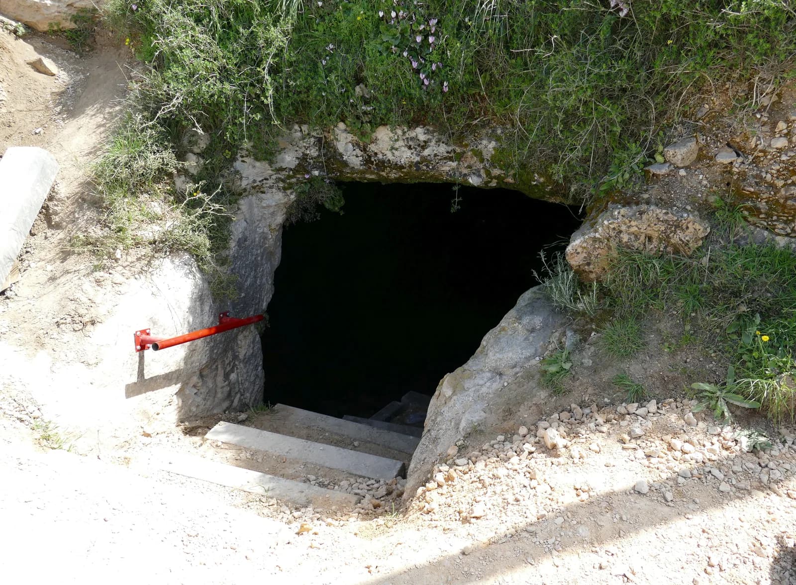 פתח חצוב ומדרגות היורדות אל אחד מבורות המים בחורבת עורמה