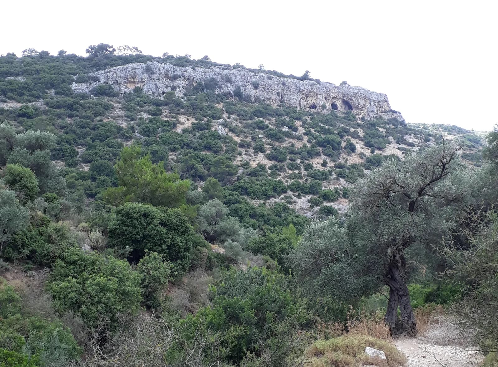 מצוק מערות אורנית, מבט מנחל גלים