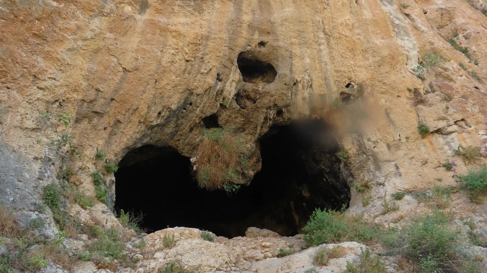 פתח כפול של מערה טבעית במצוק הגיר בסביבת מנזר פרן