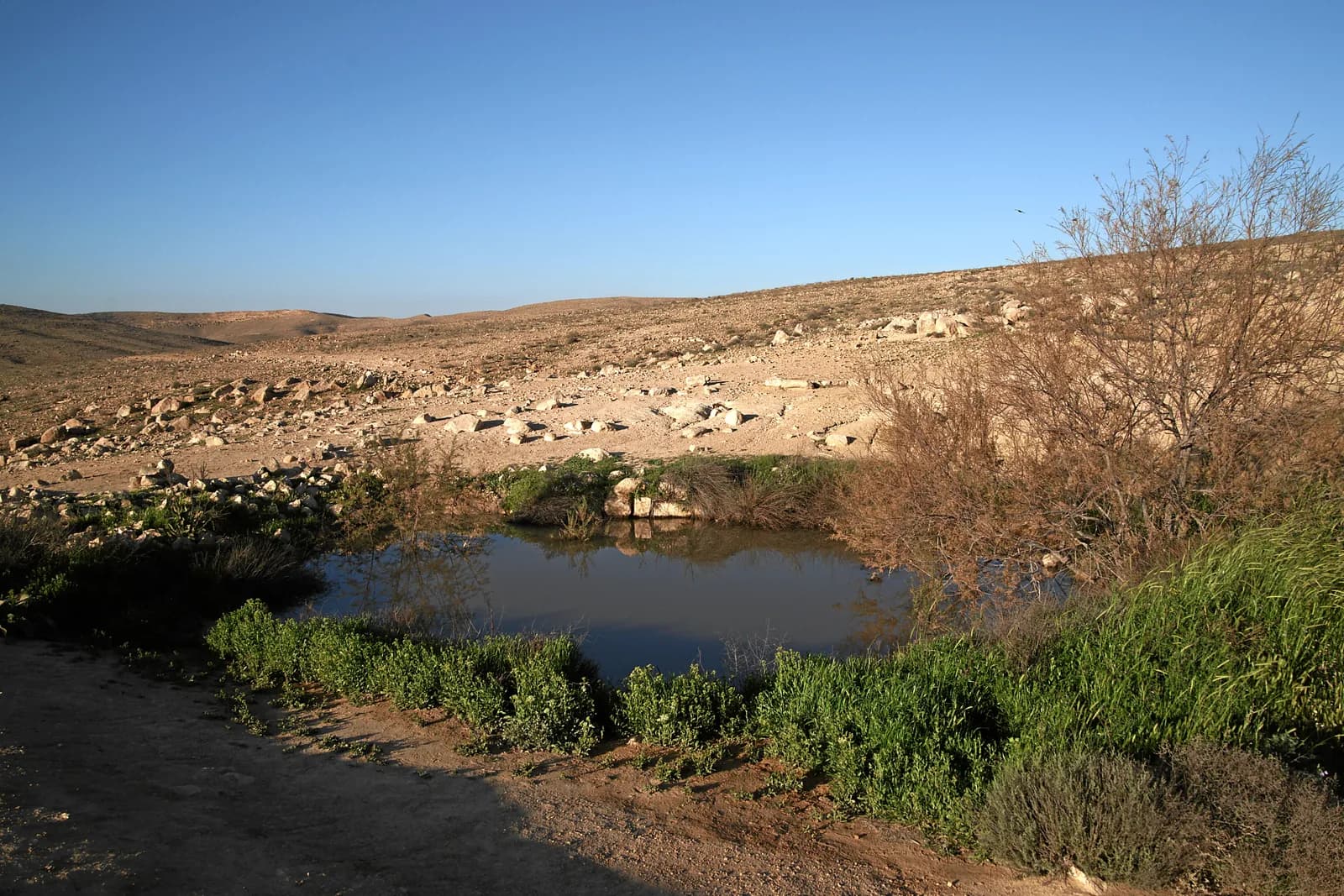 אחד מבורות המים באתר, מלא במי גשמים