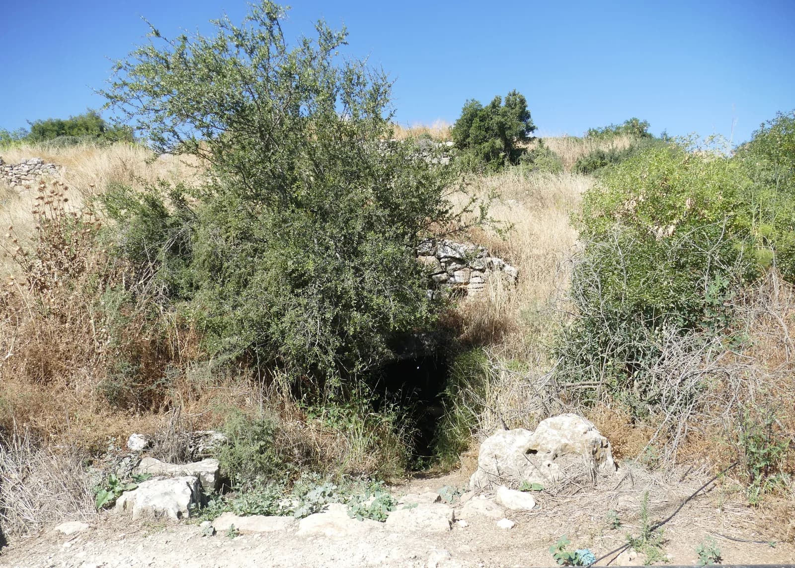 פתח מערת הנזירים במורד גבעת המנזר, בין השיחים