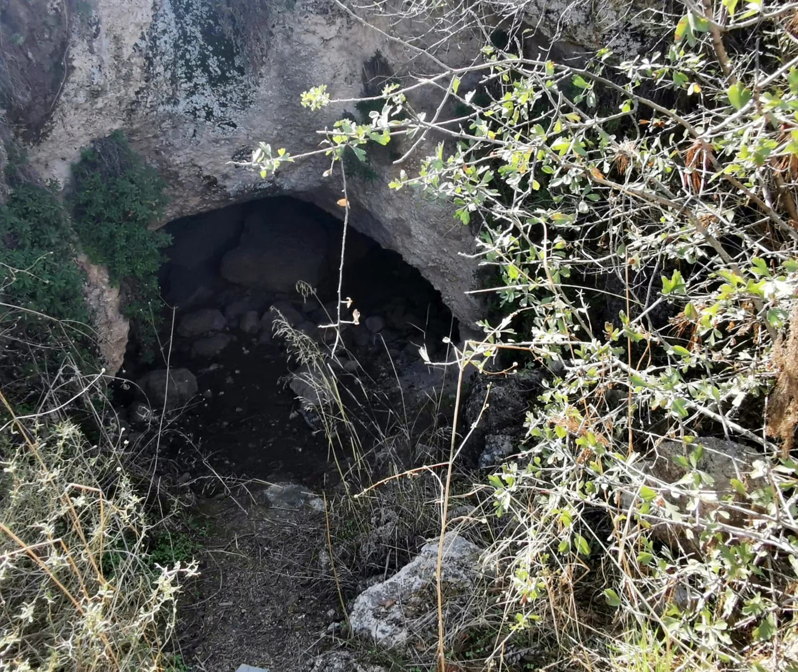 פתח מערה בין הצמחייה במורדות חורבת עקד