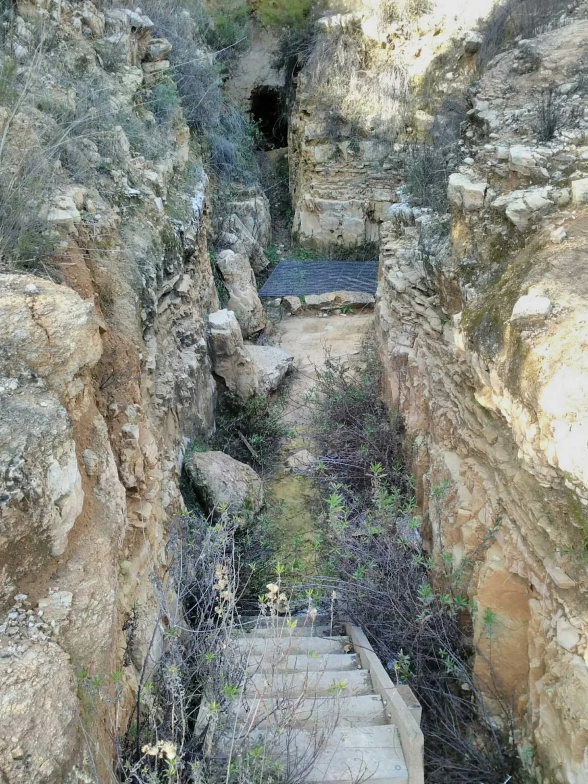 תעלת הגישה החצובה והמדרגות היורדות אל פתח המערה בשטח קיבוץ צובה