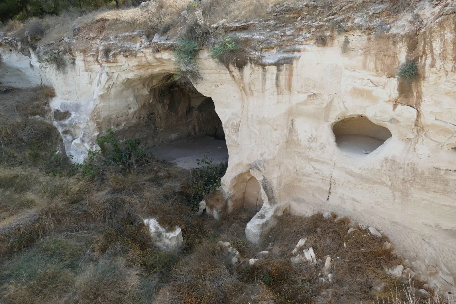 חזית סלע הקירטון ופתחים חצובים במכלול מערת הסוסים