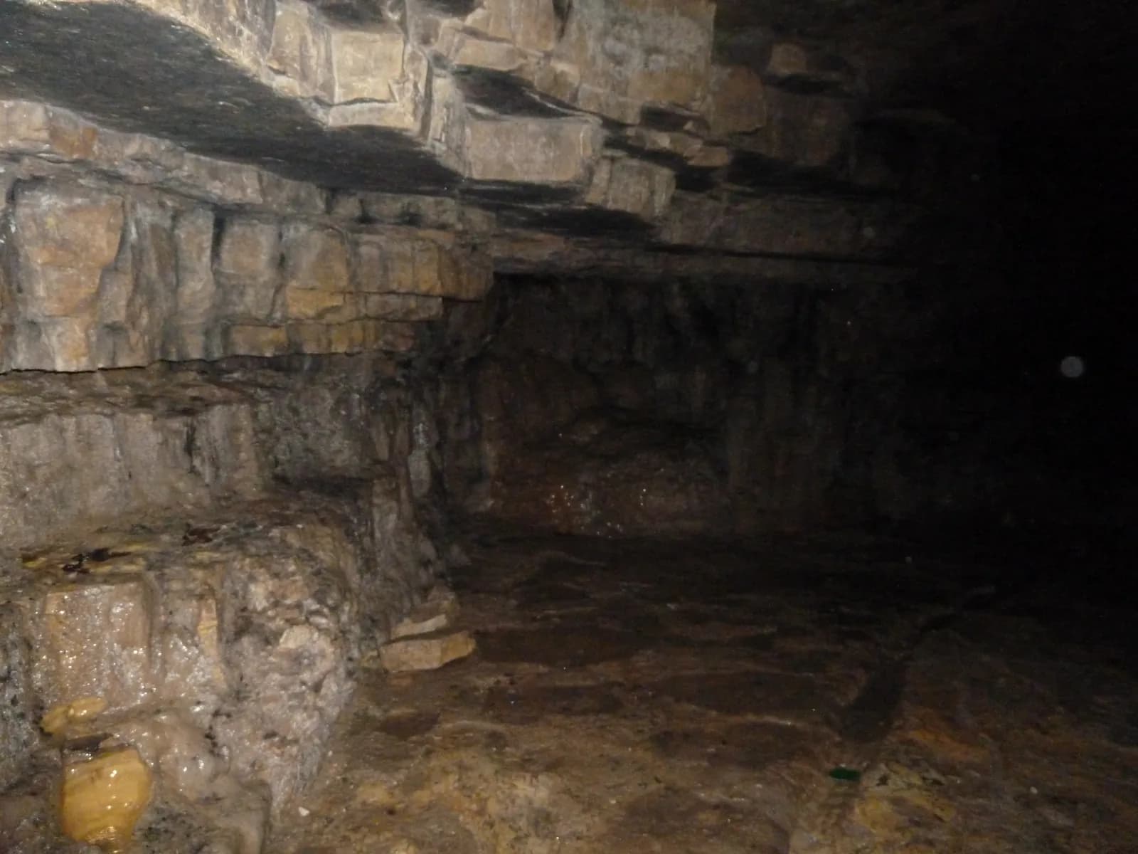 בתוך נקבת עין ביכורה – החלל החצוב בשכבות הגיר שממנו נובעים המים