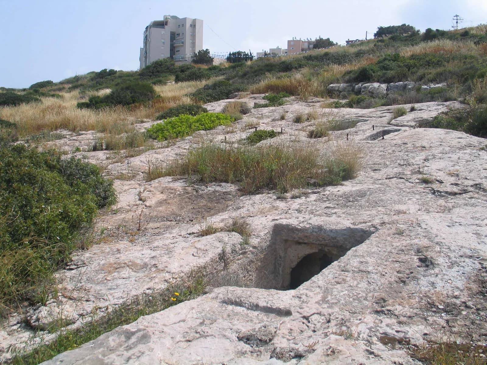 פתח קבר חצוב במדרון הסלעי של בית הקברות של שקמונה, ומעליו שכונות חיפה