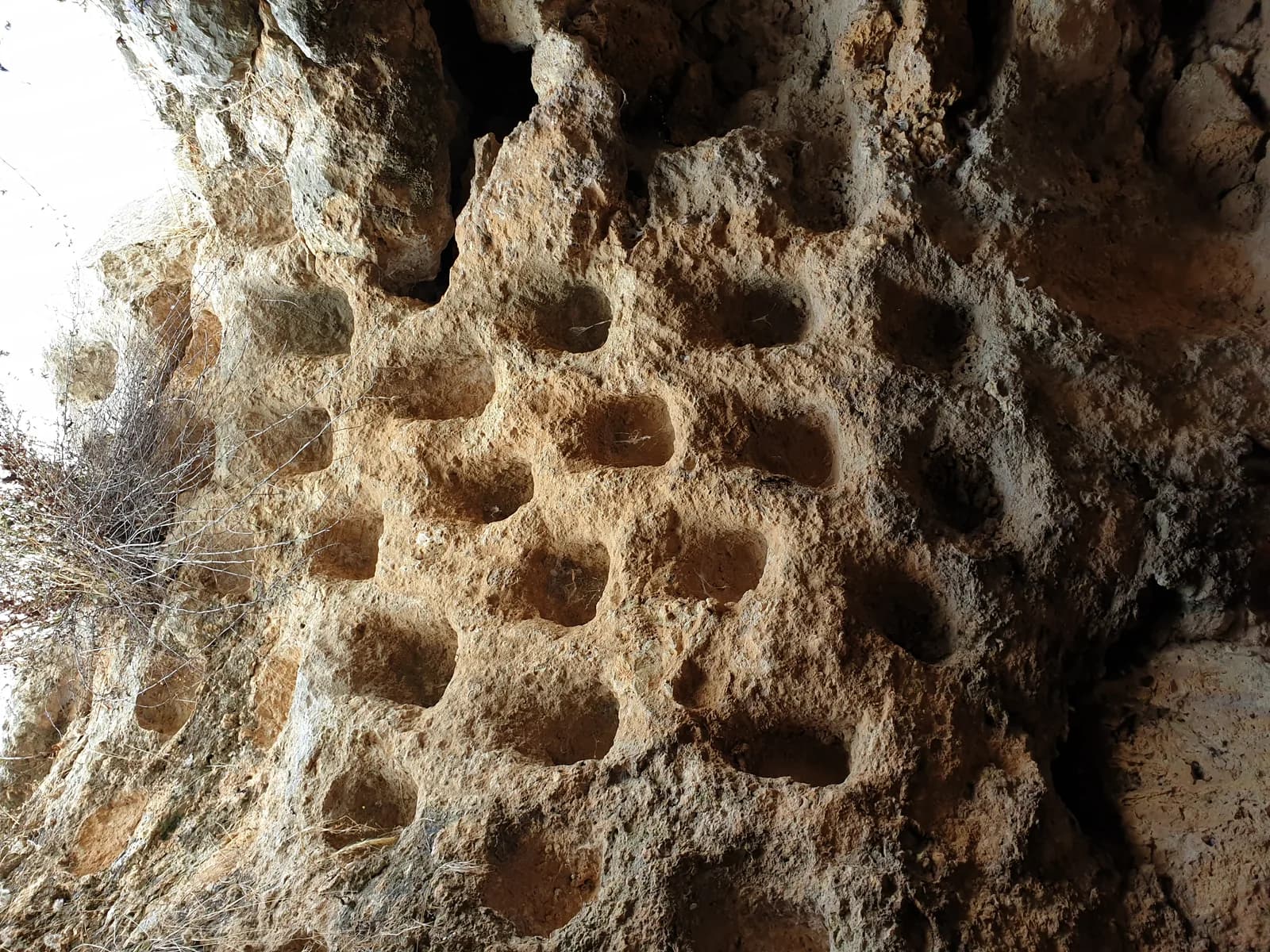 קולומבריום (שובך יונים) חצוב בסלע בחורבת קנה. זו אינה מערת הפולחן עצמה