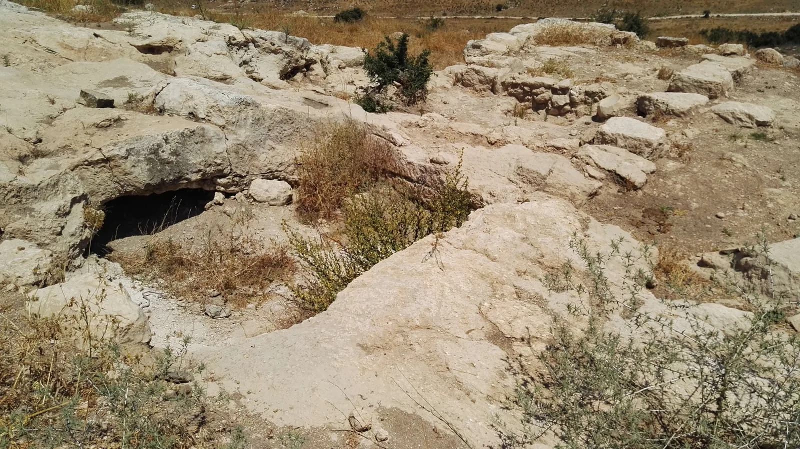 פתח נמוך של חלל חצוב בסלע בשטח חורבת אשון