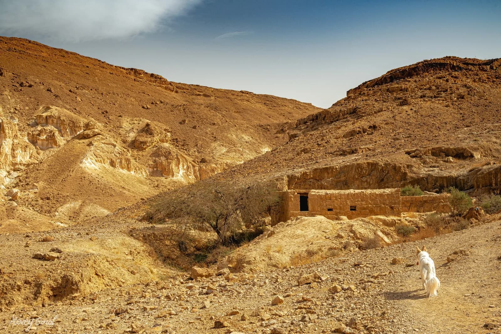 בור נקרות – מבנה האבן הנמוך של המאגר הנבטי בצלע הערוץ, בנוף ההררי שמדרום לנחל נקרות