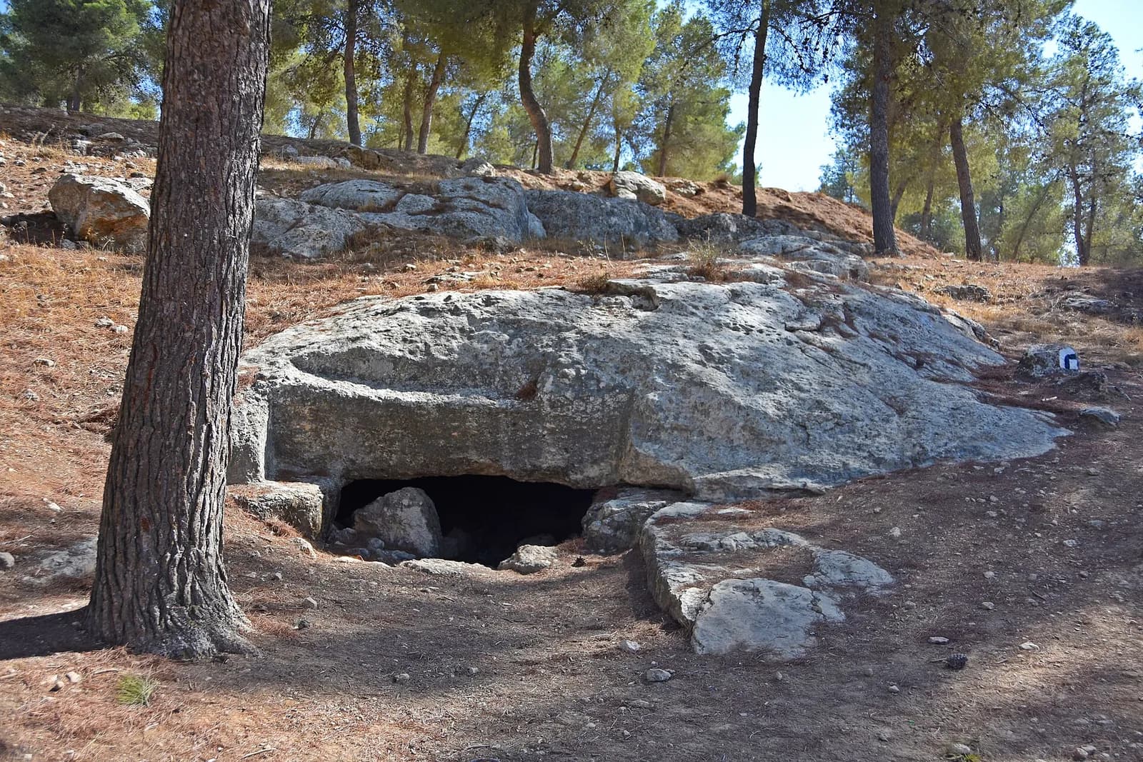 פתח מערת קבורה חצובה בסלע בין עצי האורן ליד חורבת ענים