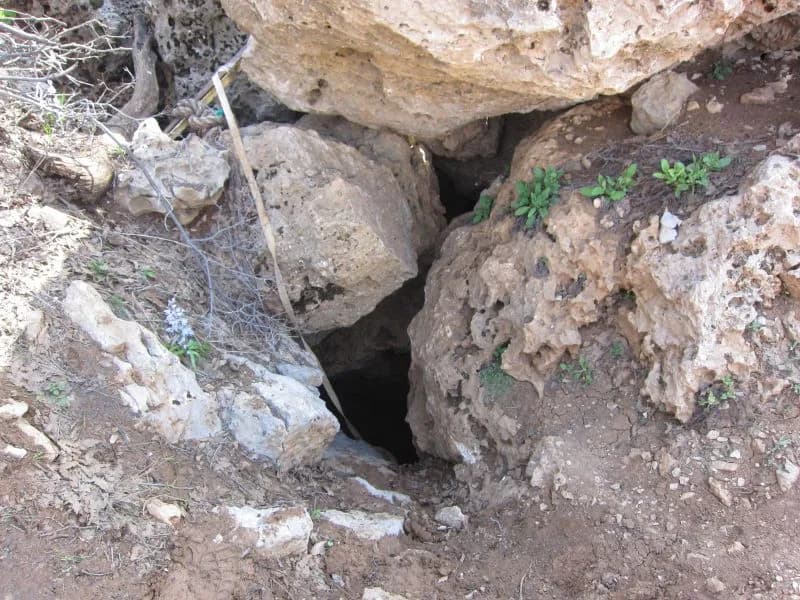 מערת נטיפים ביער חרמון