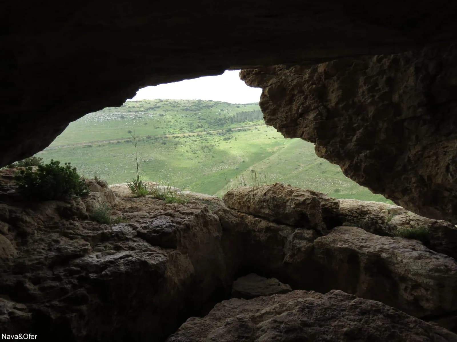 מבט מתוך מערת אבינדב החוצה, דרך הפתח, אל מדרונות הגלבוע הירוקים