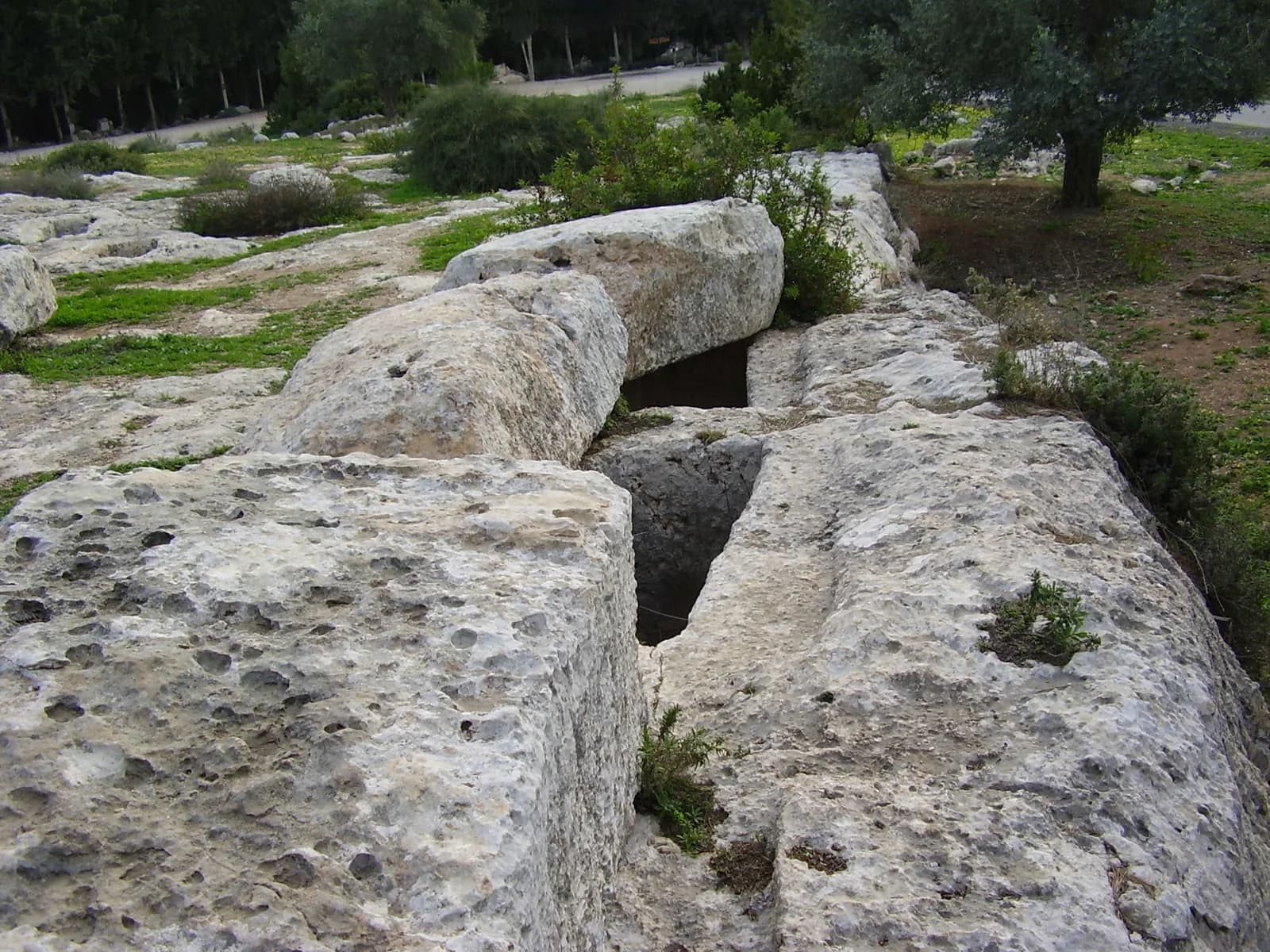שורת קברים חצובים בסלע ועליהם אבני כיסוי