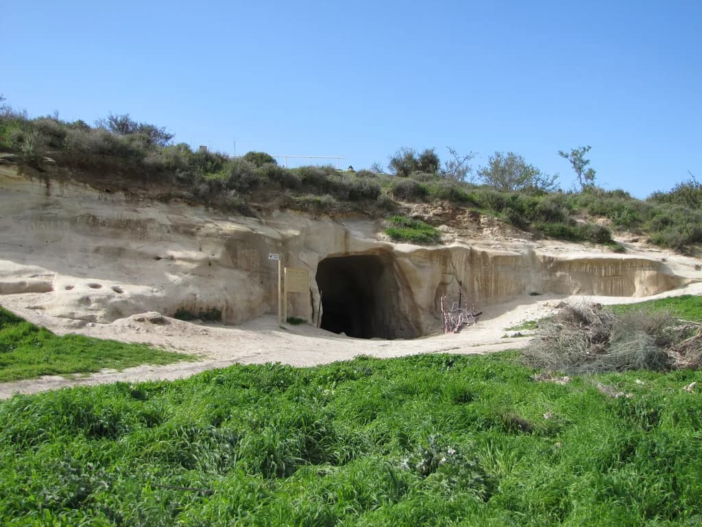 פתח מערת הקולומבריום בחורבת מדרס, במדרון הגבעה בפארק עדולם