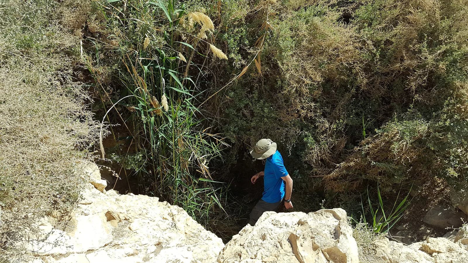 מטייל בשקע הסלעי ובסבך הקנים שסביב פתח עין המערה