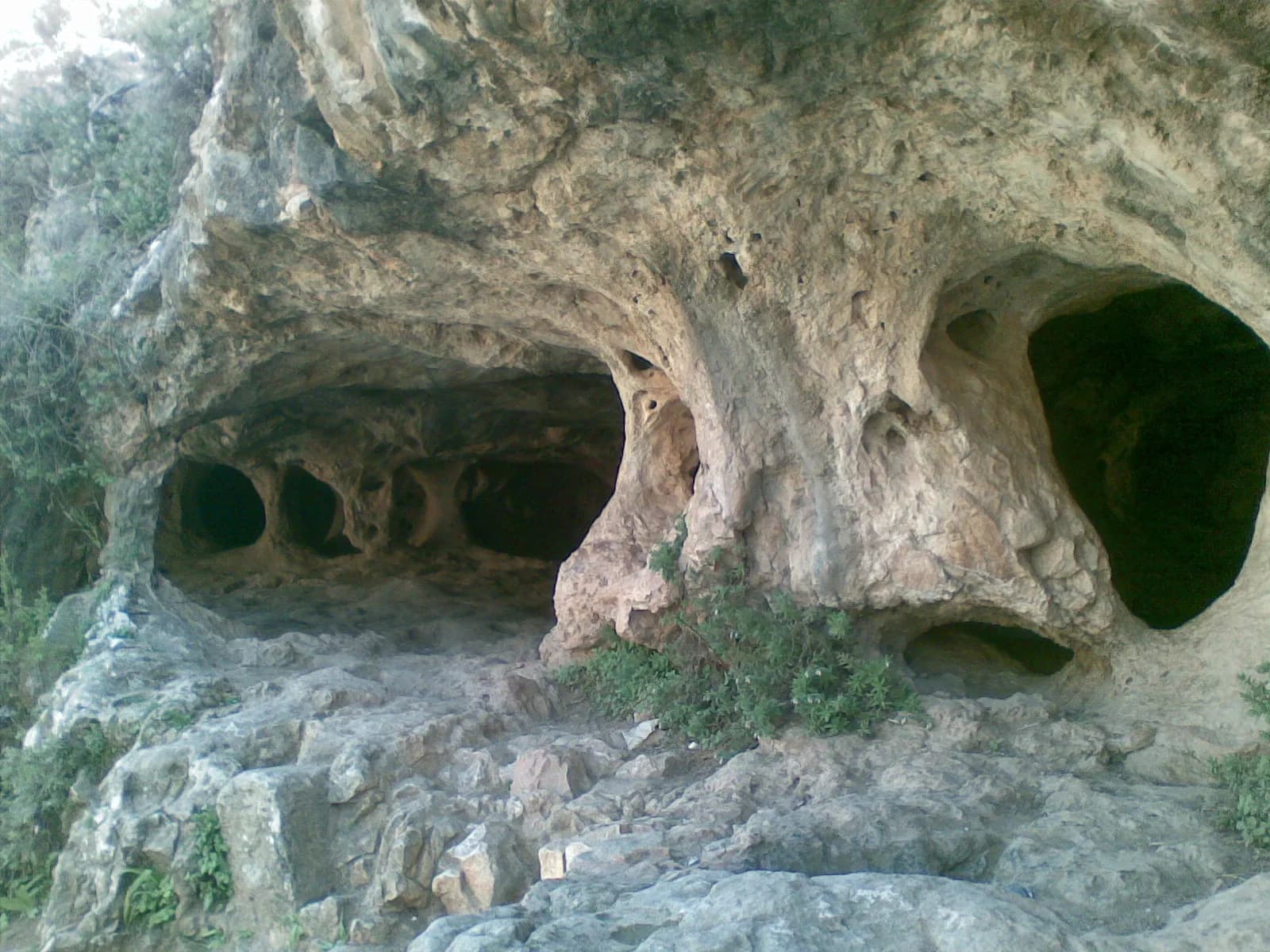 פתחי מערות חלילים במצוק הגיר הקרסטי