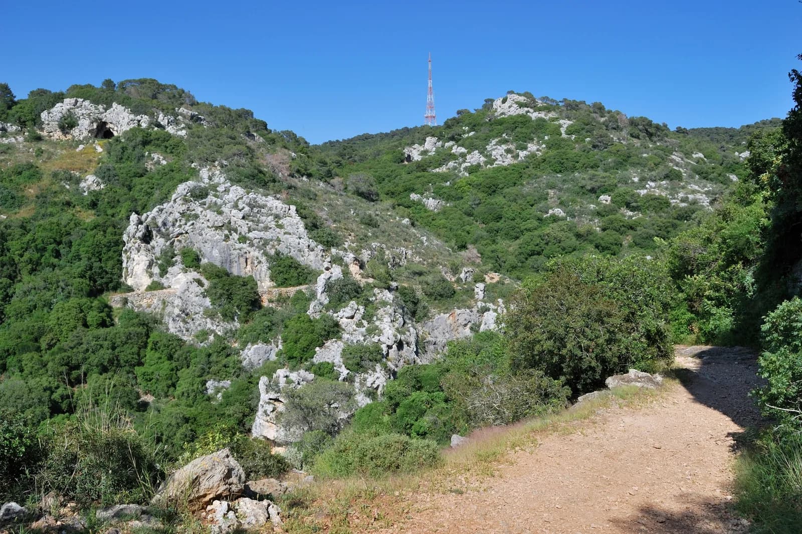 מצוקי נחל כלח במבט לצפון־מזרח; פתח מערת כלח נראה במצוק שבפינה השמאלית העליונה