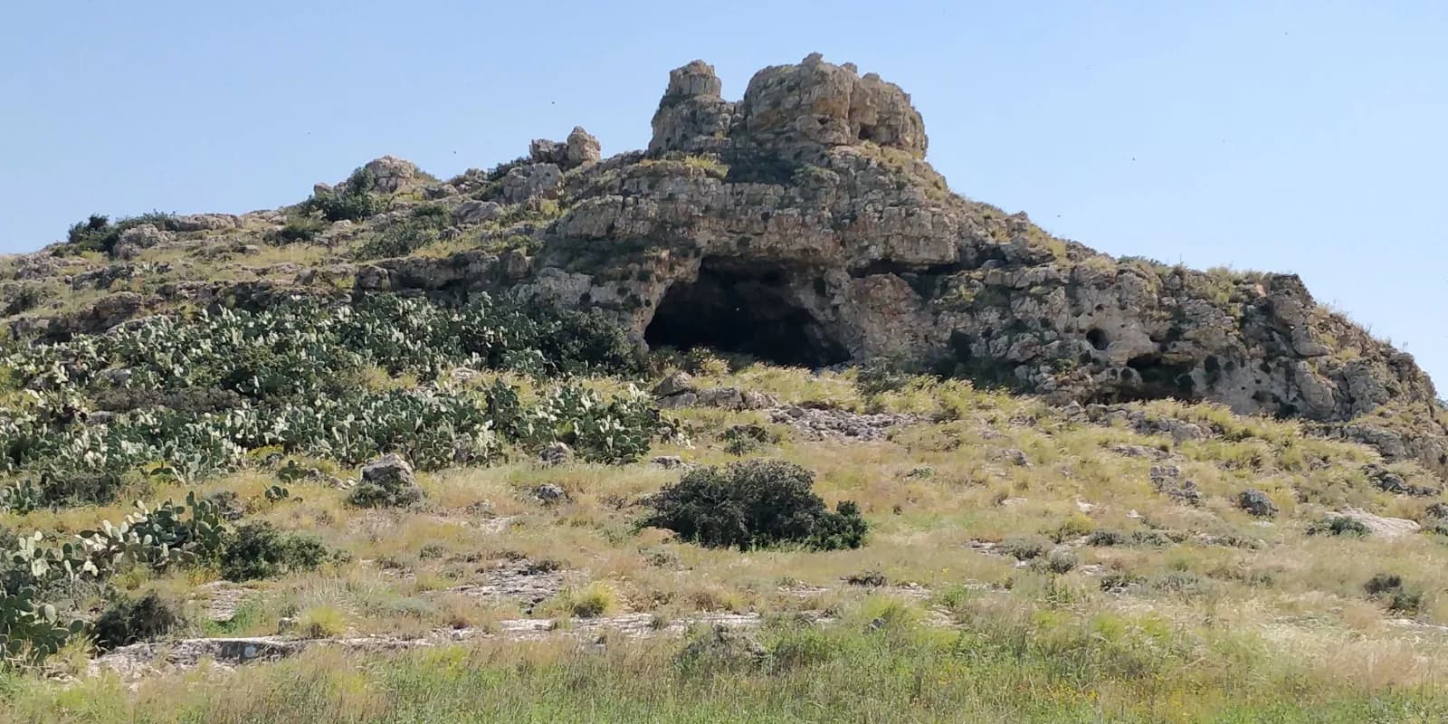 המצוק ופתחי מערות עובדיה מעל טירת הכרמל, מוקפים צברים ועשב אביבי