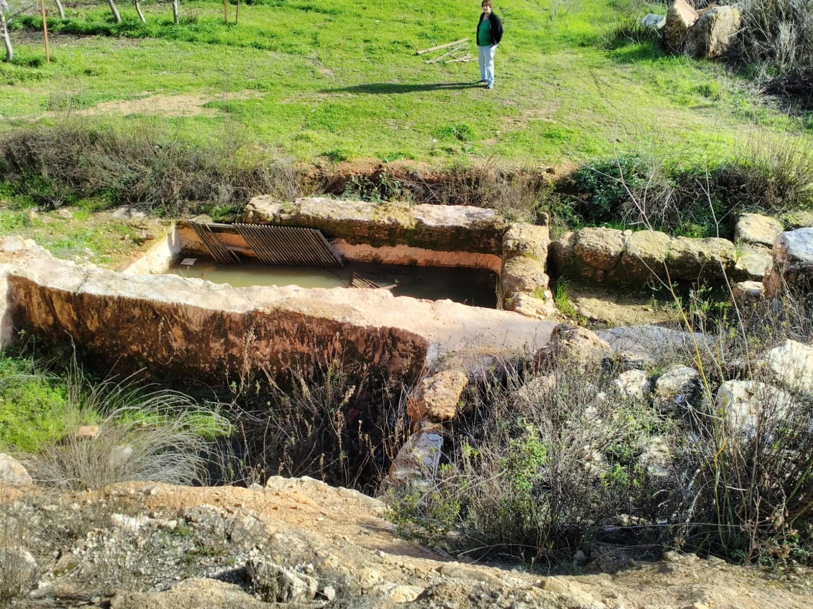 הבריכה החצובה שליד מערת יוחנן המטביל, בין מטעי קיבוץ צובה