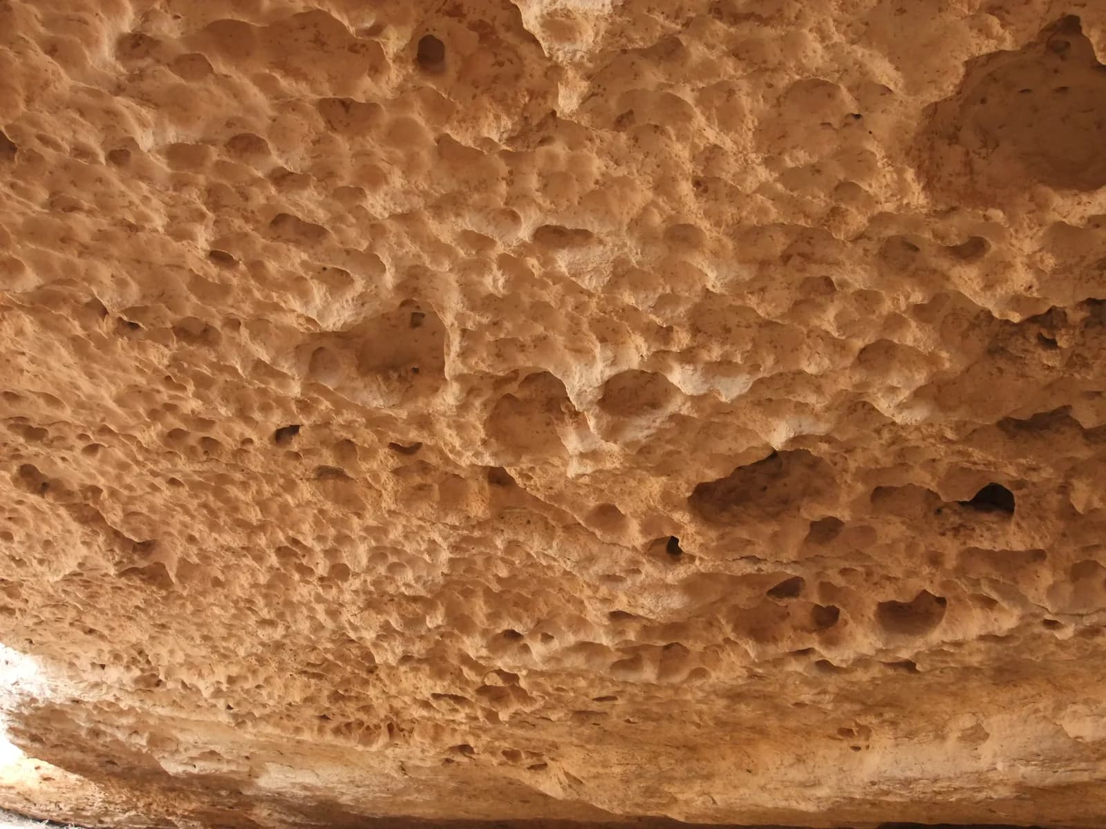 תקרת מערת נקרות, מחוררת בחללים ושקעים קטנים של בליית הגיר