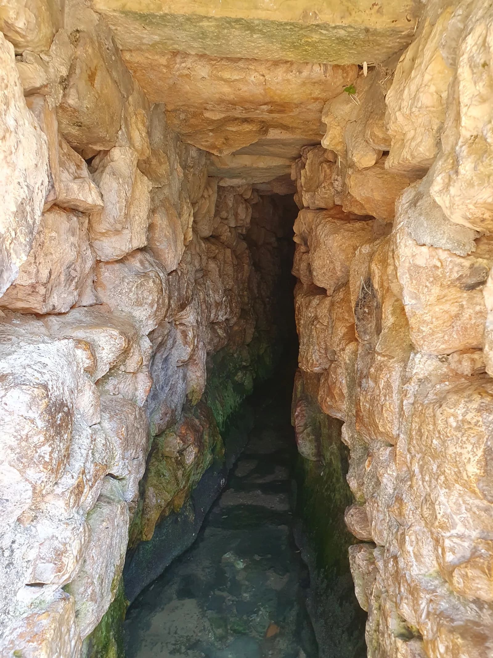 מבט אל תוך נקבת עין ליפתא: מעבר חצוב צר ומים זורמים על רצפתו