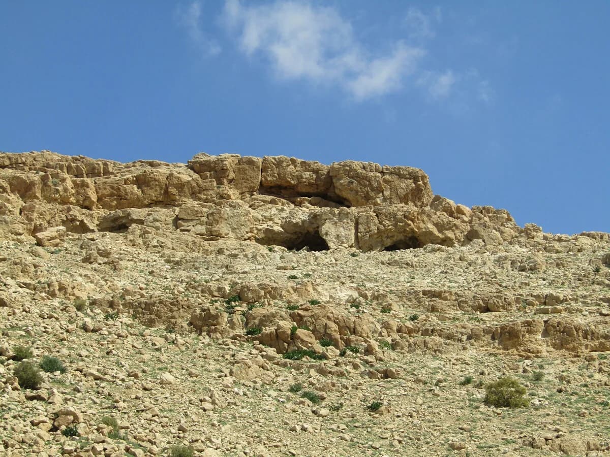 פתחי מערת הסלע במדרון הסלעי בגדת ואדי אל-וער, נחל חבר העליון