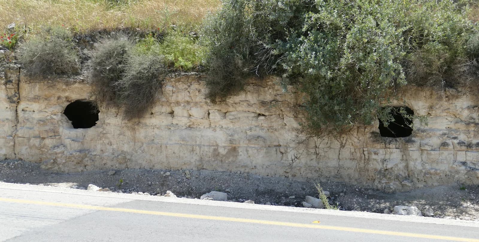 פתחי מערות חצובות בחתך הכביש למרגלות תל חליף