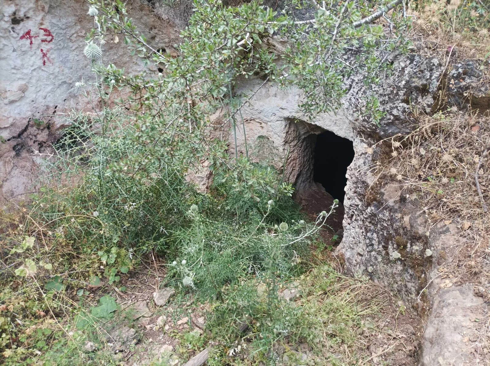 פתח חצוב של מערת קבורה בחורבת חרמש, בקבוצת המערות שליד מצפור קרן הכרמל