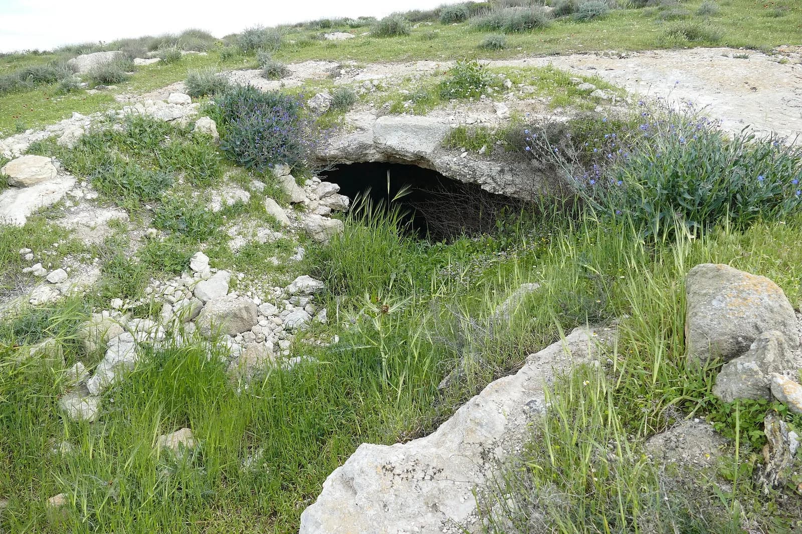 פתח נמוך של מערה בשולי סלע הגיר בחורבת רימון שביער להב