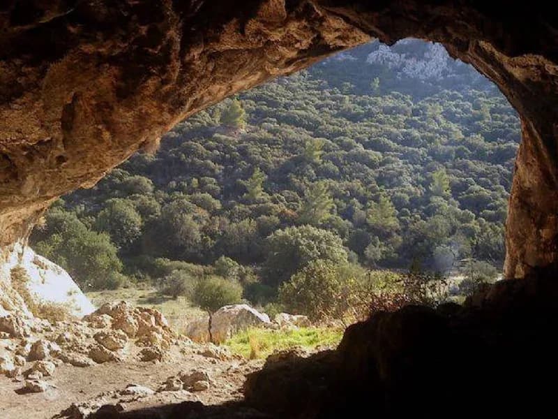 מערת אורן