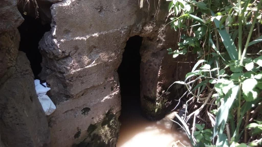 פתח מערת עין יבנאל בקיר הבטון, ומי המעיין זורמים ממנו החוצה