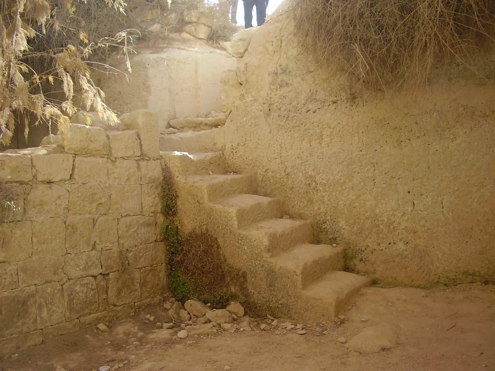 המדרגות החצובות שיורדות אל בור חווארים