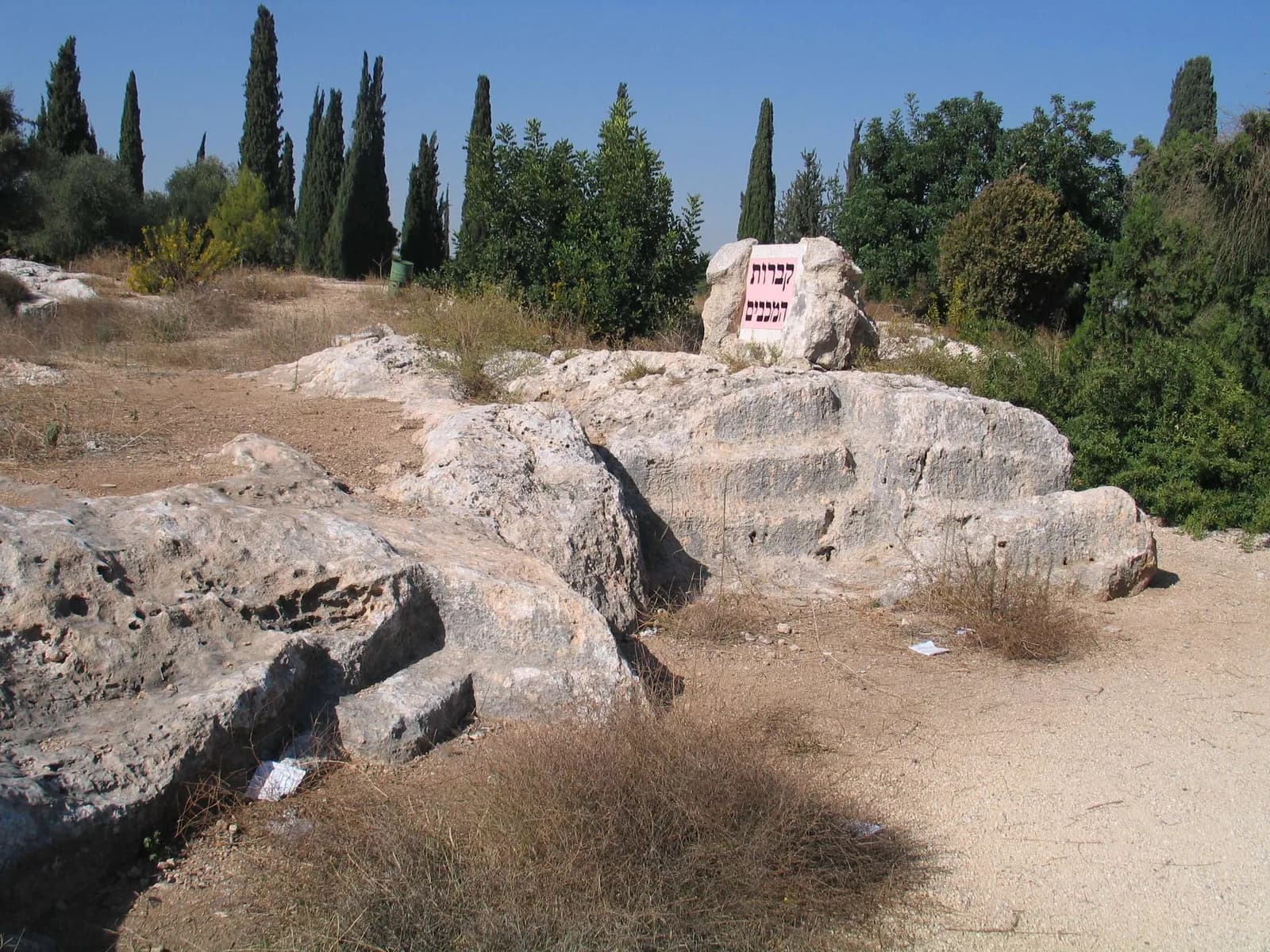 המשטח הסלעי עם קברי הפיר ואבן השלט "קברות המכבים" ביער בן שמן