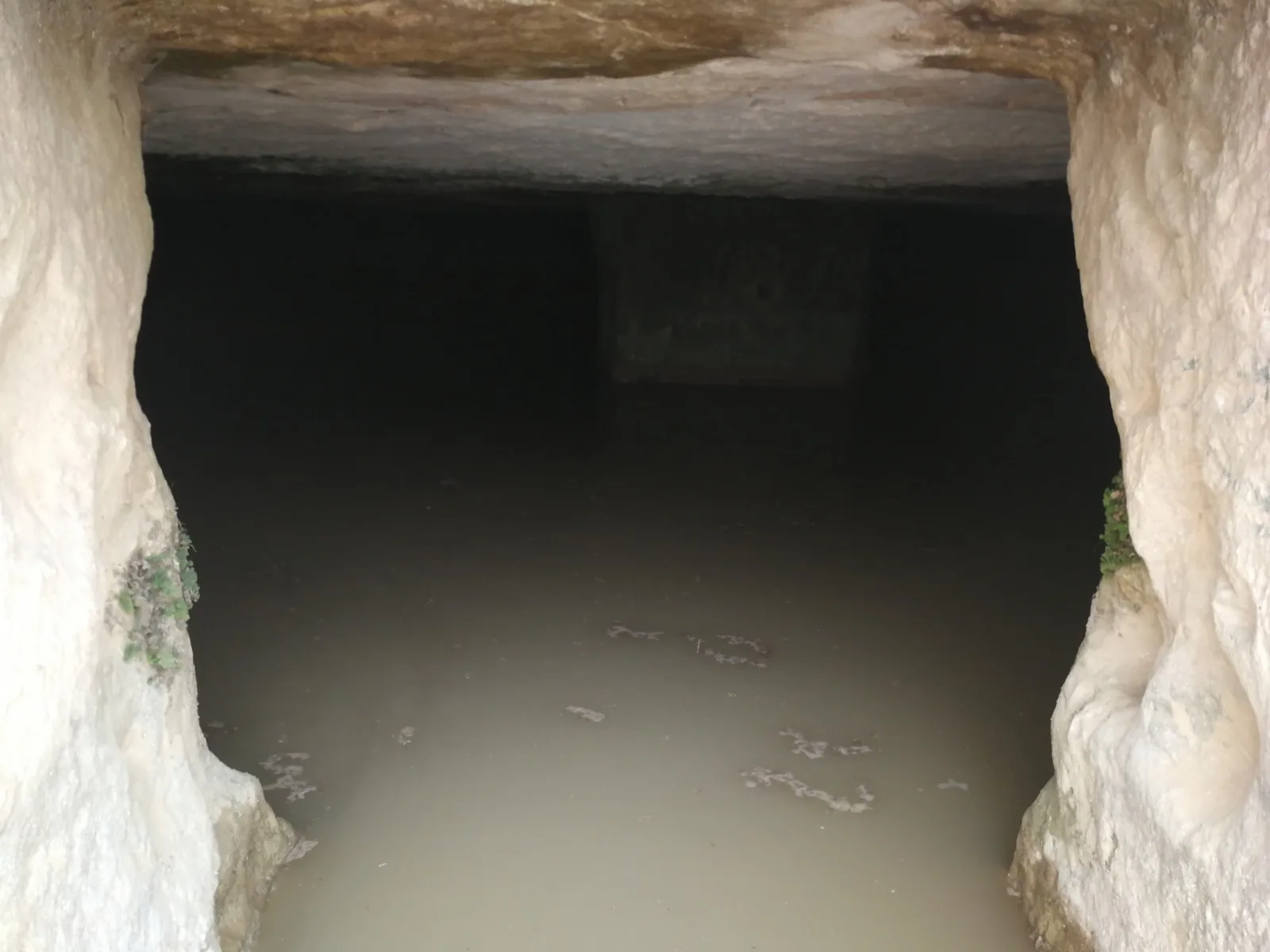 פתח הכניסה החצוב לאחד מבורות רמליה, ובתוכו אולם מלא מים ותקרת סלע שטוחה