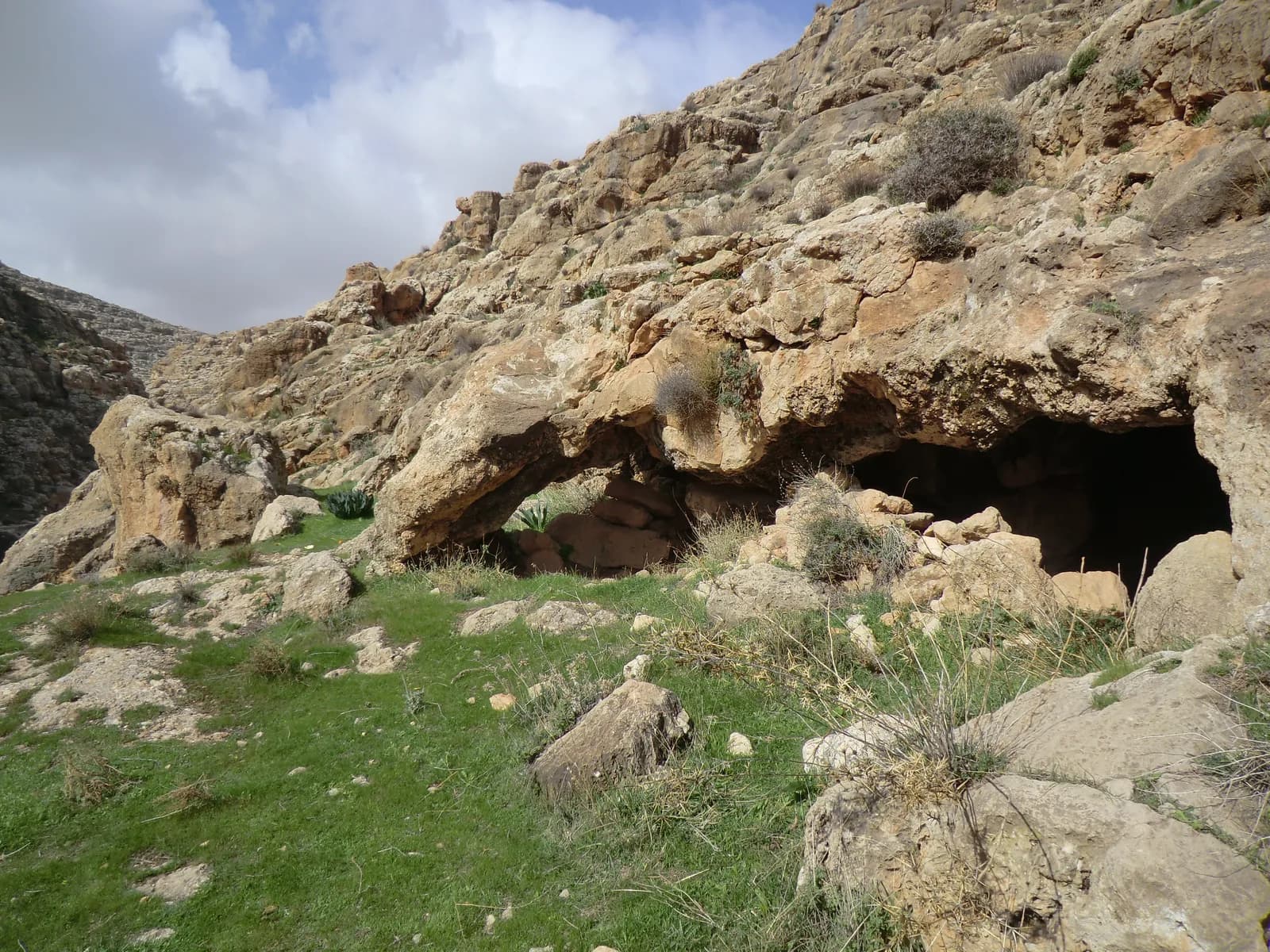 פתחי מערת הנמרים בתחתית המצוק בגדה הצפונית של ואדי סמיה