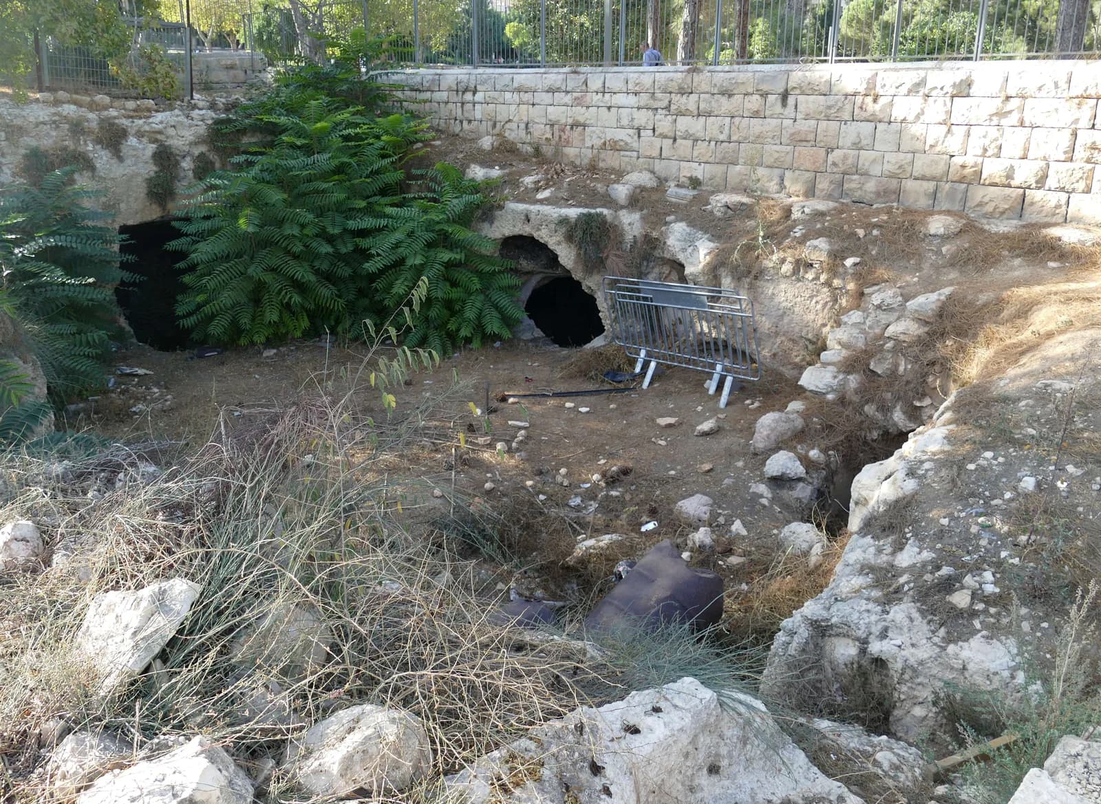 הבור הפתוח ובו פתחי מערת האריה, בשולי בית הקברות ממילא בירושלים