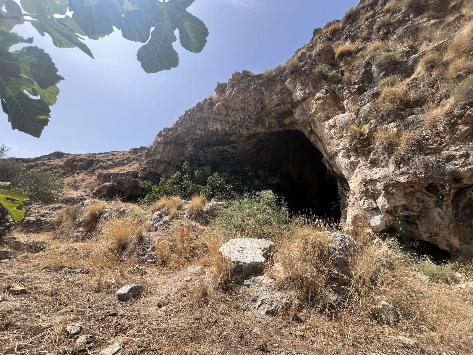 פתח מערת שוקבא במדרון הסלעי של נחל נטוף