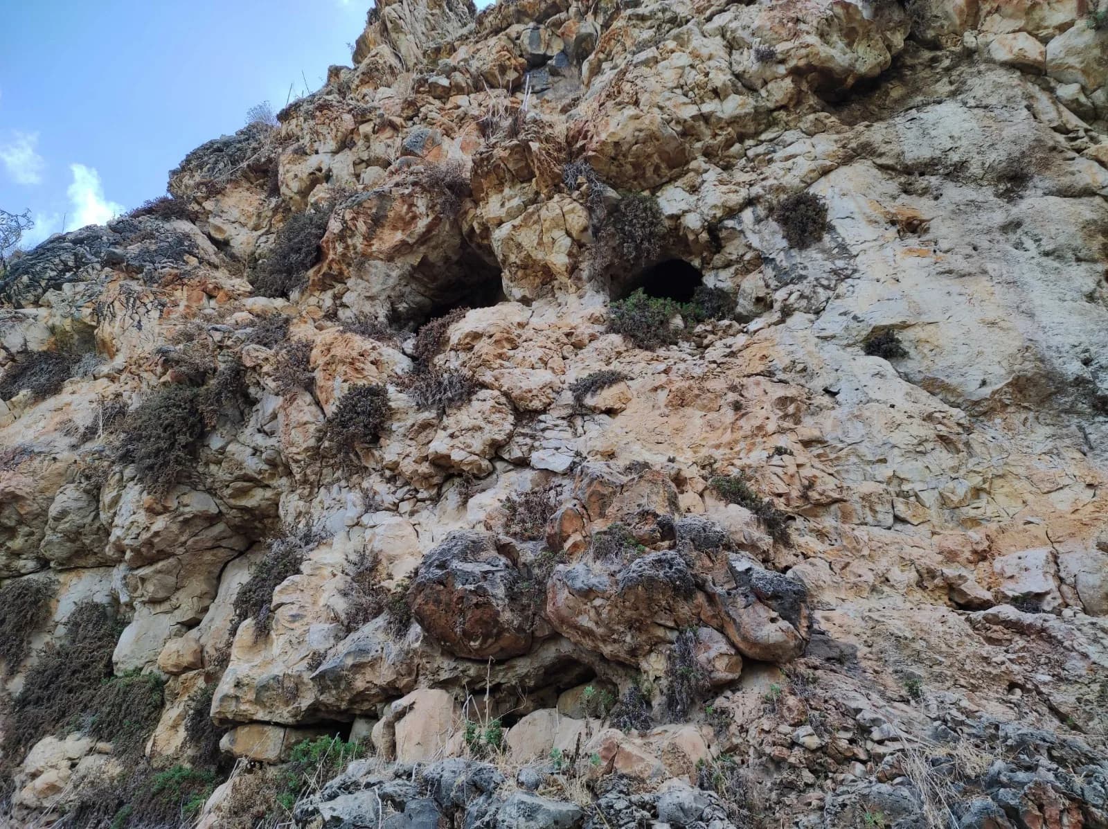 מצוק הגיר של מערת כבארה ופתחים בסלע, חוטם הכרמל
