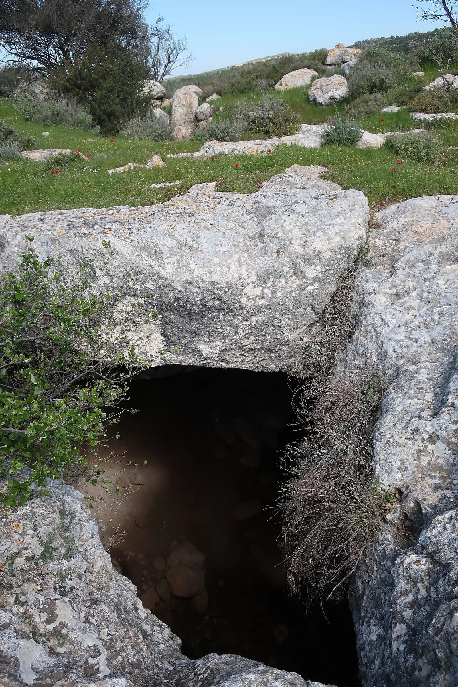 פתח מערת אחסון חצובה בחורבת אום א-רוס (האתר הצפוני)