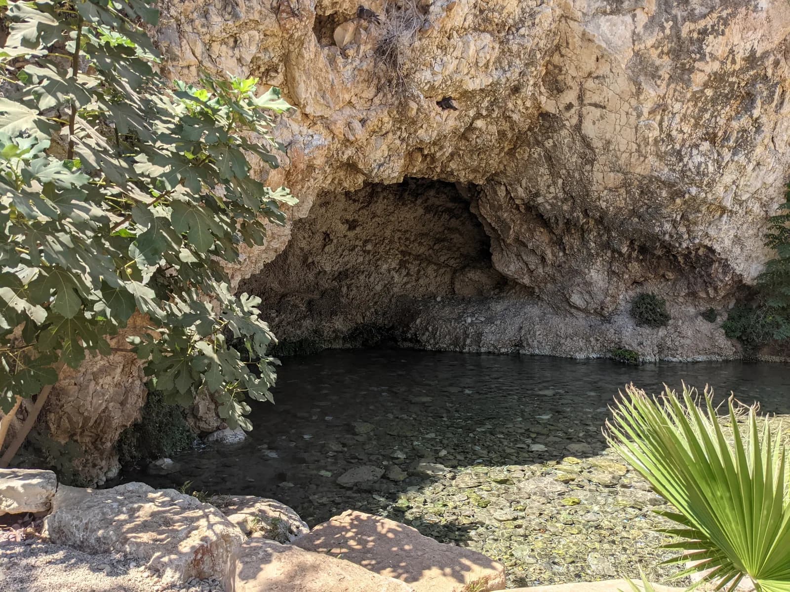 פתח מערת גדעון והבריכה הצלולה שאליה נובעים מי מעיין חרוד