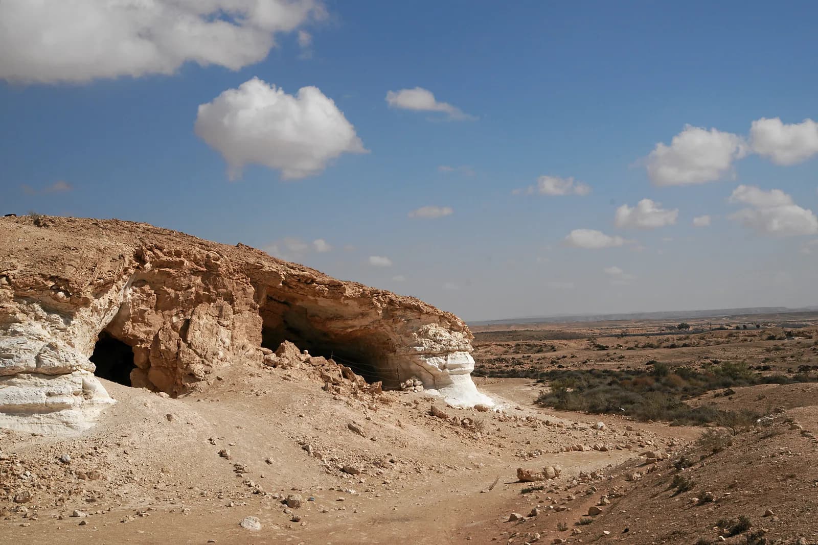 פתחי מערת ניצנה בגבעת הקירטון, ומאחוריהם נוף פתחת ניצנה
